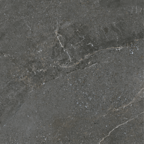 NIAGARA-21.A.880.5001